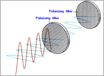 Polarization